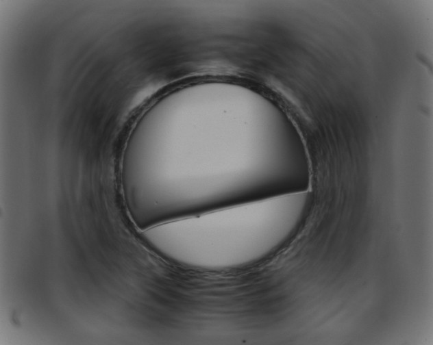 X0000097781315200803070904