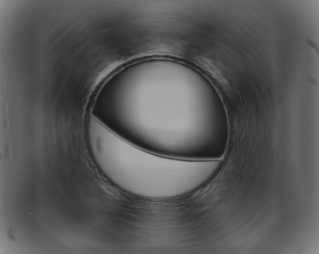 X0000097781316200803070904