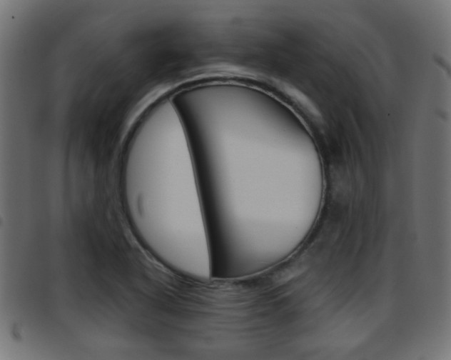 X0000097781318200803070904