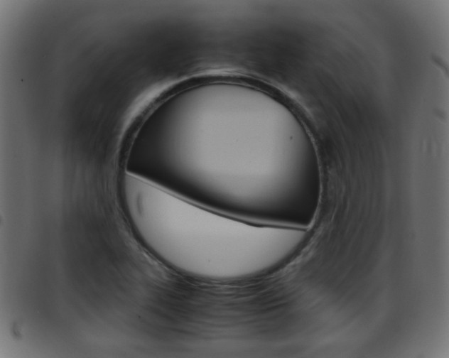 X0000097781319200803070904