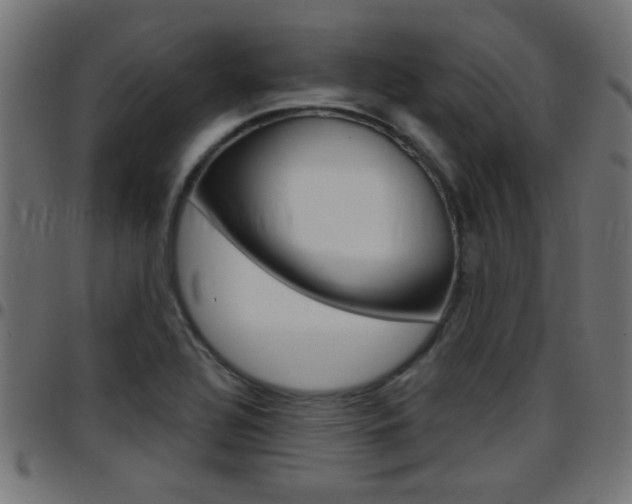 X0000097781320200803070904