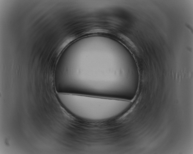 X0000097781321200803070904