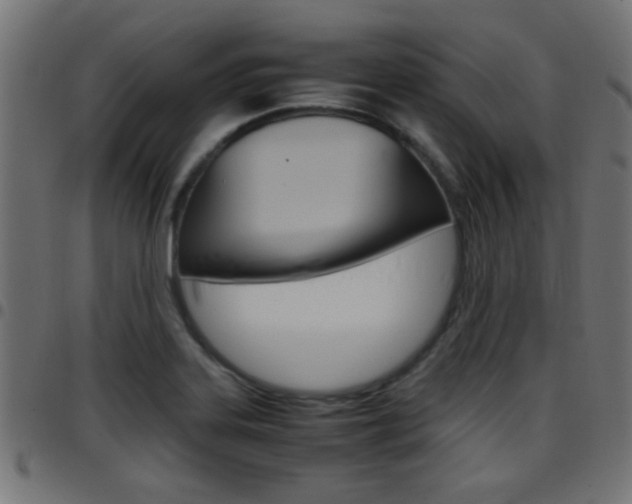 X0000097781323200803070905