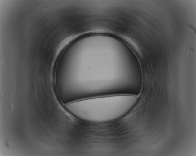 X0000097781327200803070905
