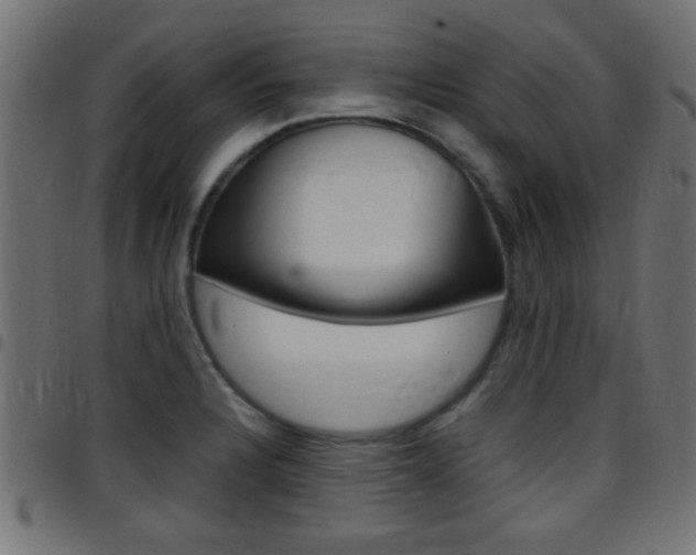 X0000097781328200803070905