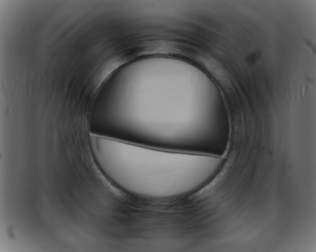X0000097781329200803070905