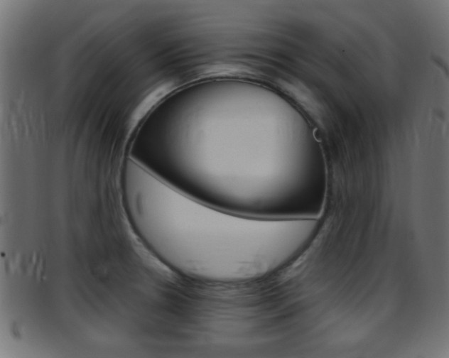 X0000097781330200803070905