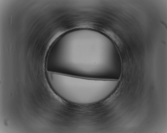 X0000097781331200803070905
