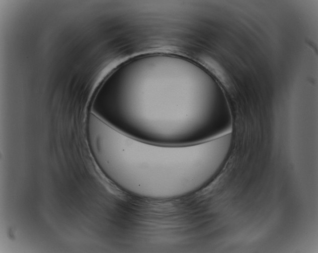 X0000097781332200803070905