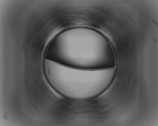 X0000097781333200803070905