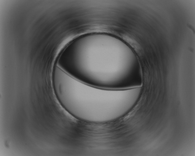 X0000097781334200803070905