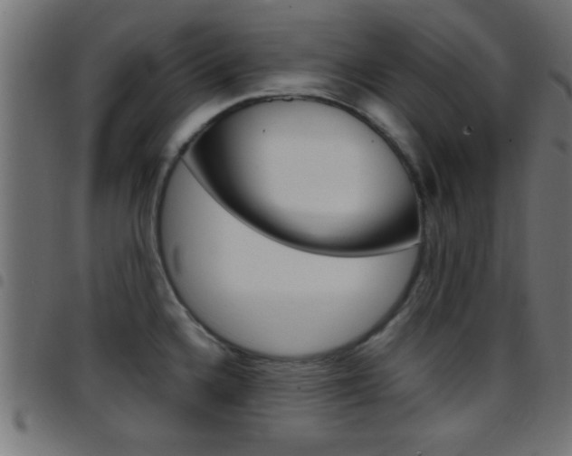 X0000097781336200803070905