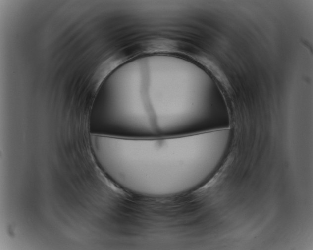 X0000097781337200803070905