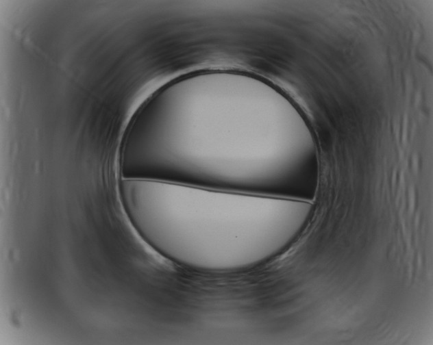 X0000097781343200803070905