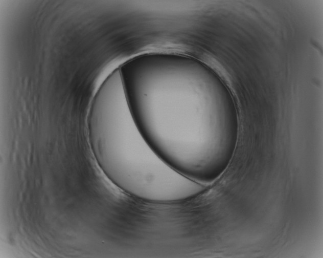 X0000097781344200803070905