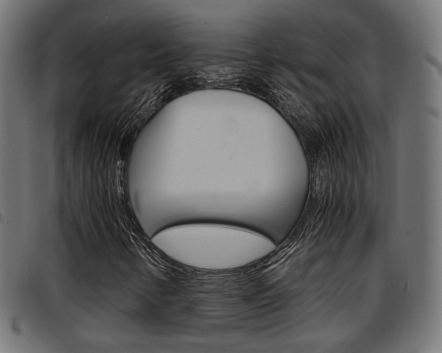 X0000097781346200803070904