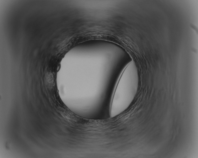 X0000097781347200803070904