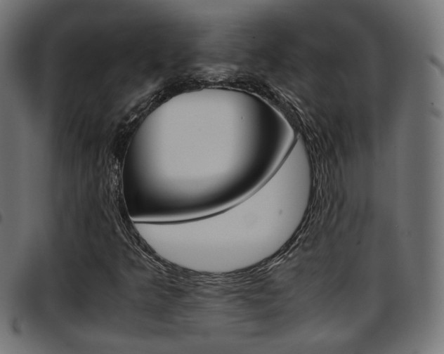 X0000097781349200803070904
