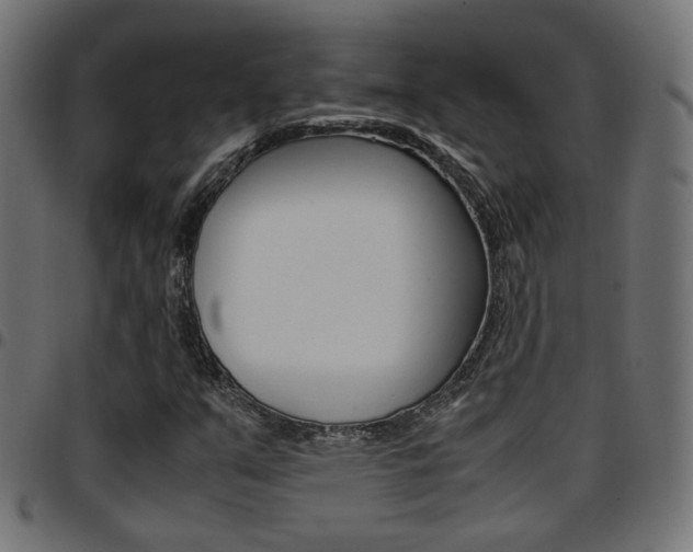 X0000097781351200803070904