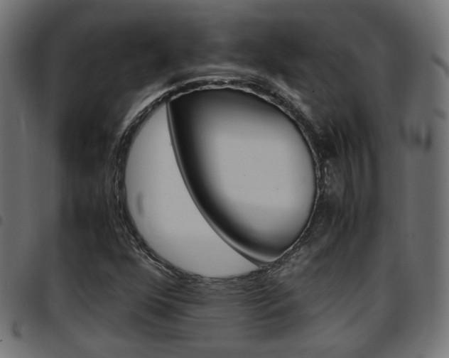 X0000097781352200803070904