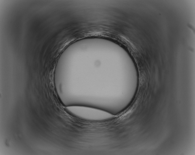 X0000097781353200803070904