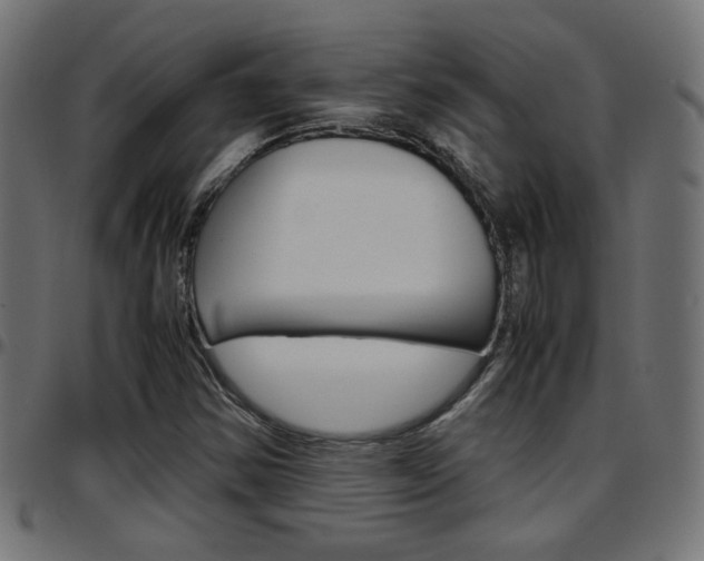 X0000097781354200803070904
