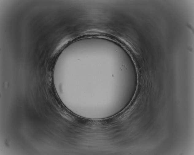 X0000097781355200803070904
