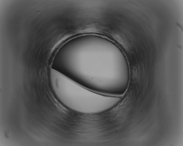 X0000097781356200803070904