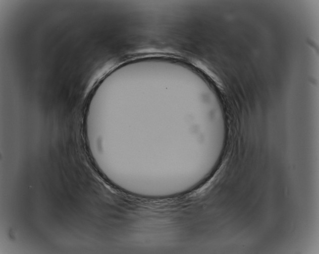 X0000097781357200803070904