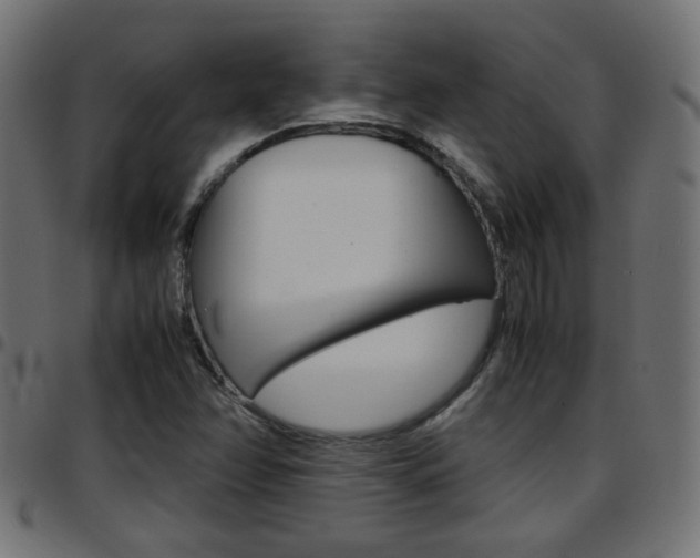 X0000097781358200803070904