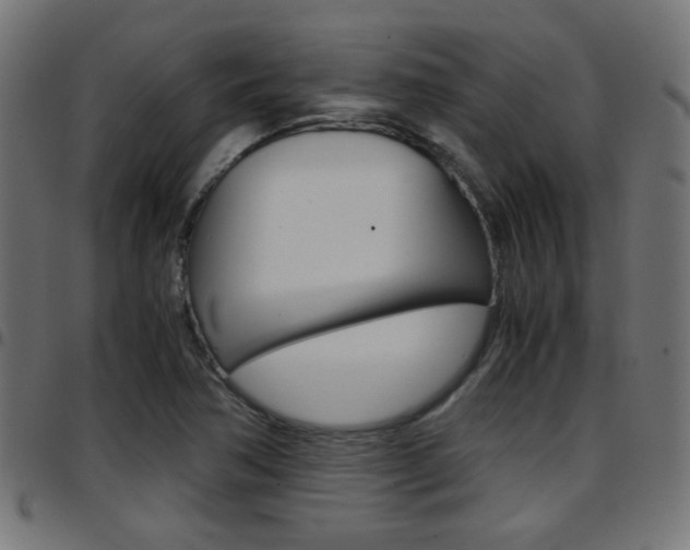 X0000097781362200803070904