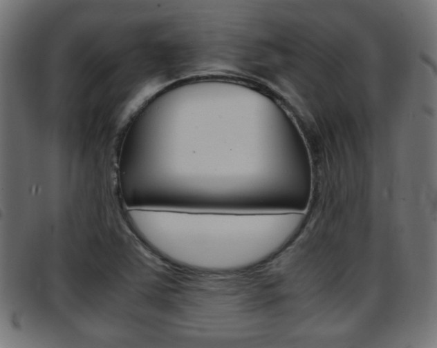 X0000097781363200803070904