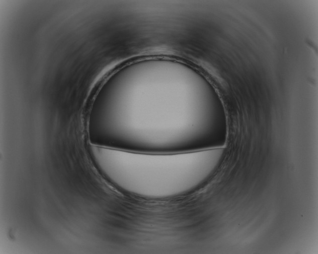 X0000097781364200803070904