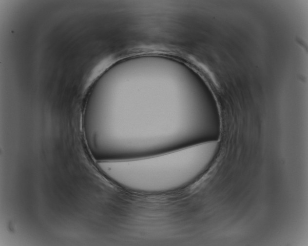 X0000097781365200803070904