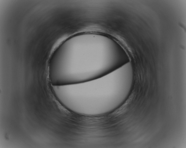 X0000097781366200803070904
