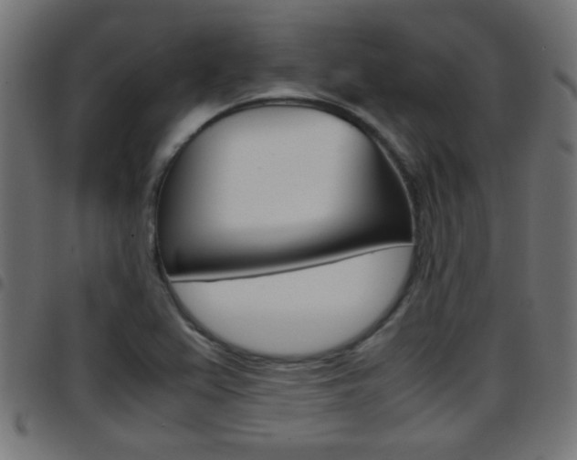 X0000097781367200803070904