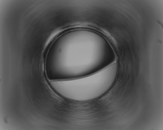 X0000097781368200803070904