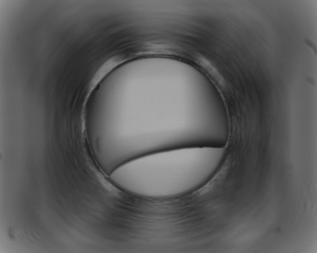 X0000097781370200803070904