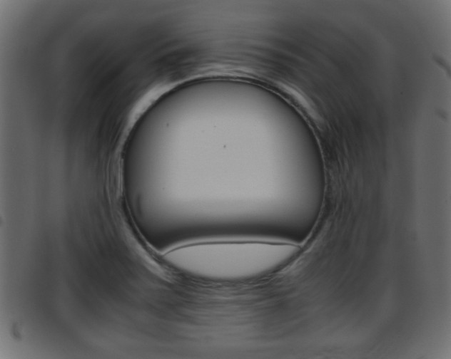 X0000097781371200803070904