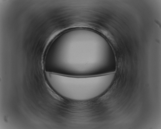X0000097781372200803070904