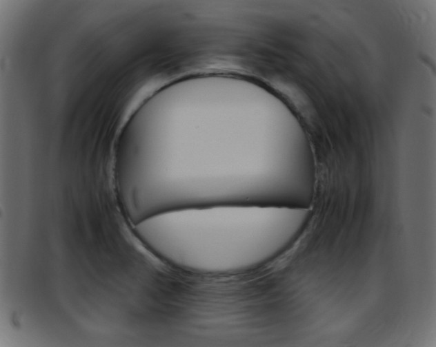 X0000097781374200803070904