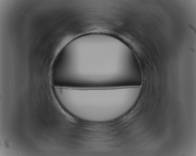 X0000097781375200803070904