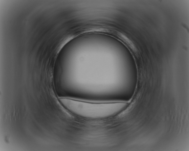 X0000097781377200803070904