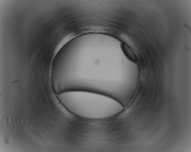 X0000097781378200803070904