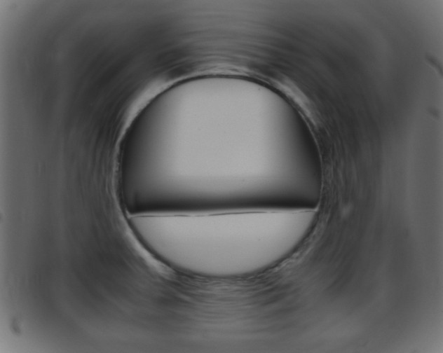 X0000097781379200803070903