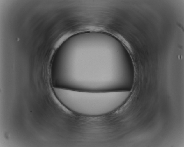 X0000097781381200803070903