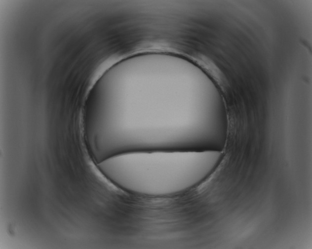 X0000097781382200803070903