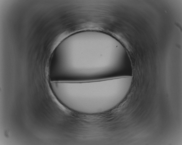 X0000097781383200803070903