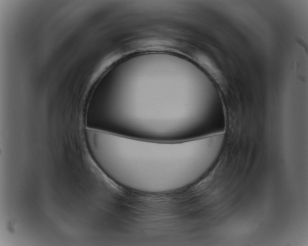 X0000097781384200803070903