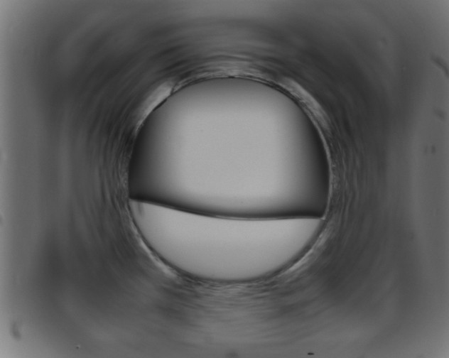 X0000097781385200803070903